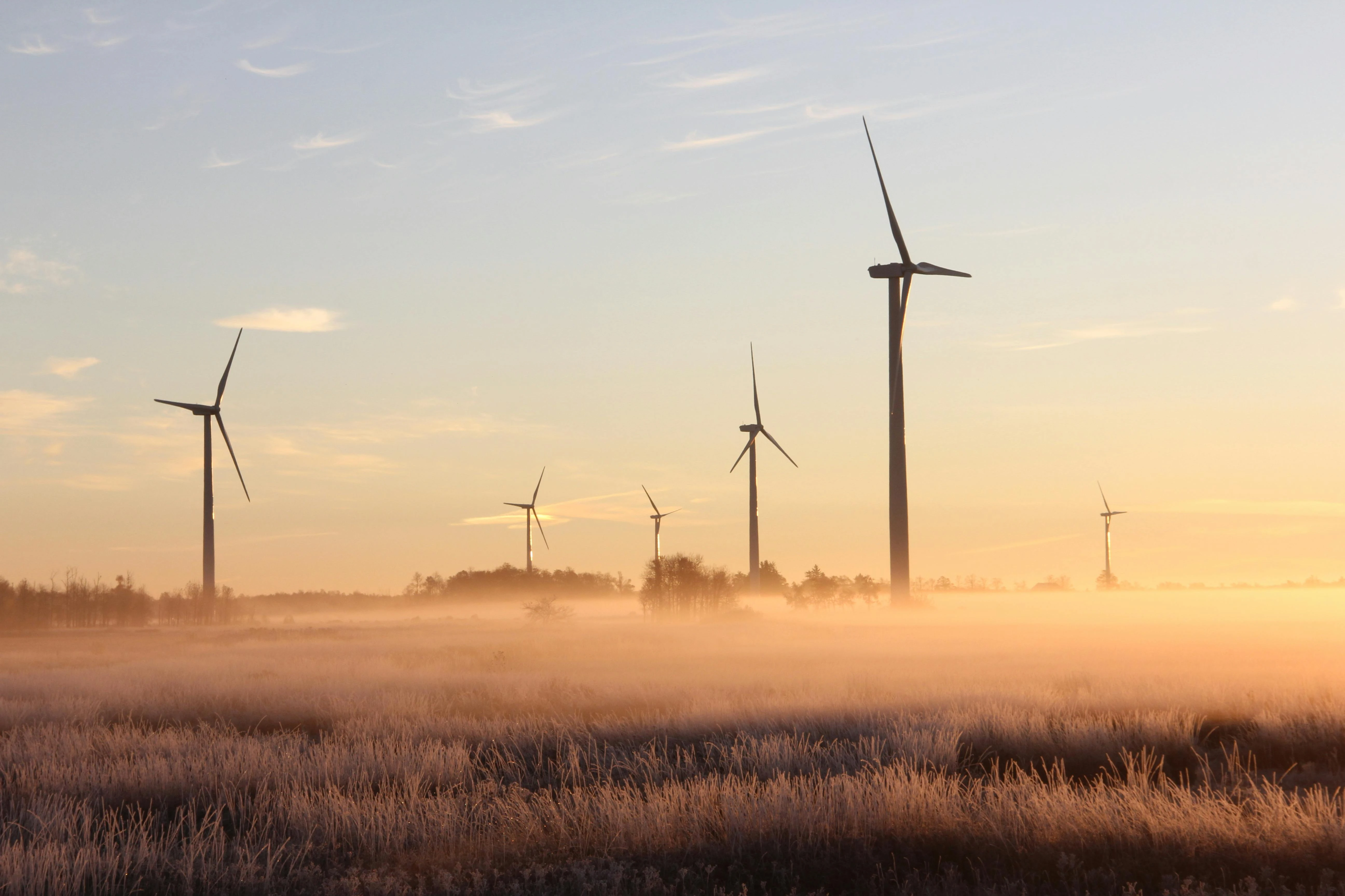 The Sustainability Expectation: Why Green Practices Are Now a Commercial Decision