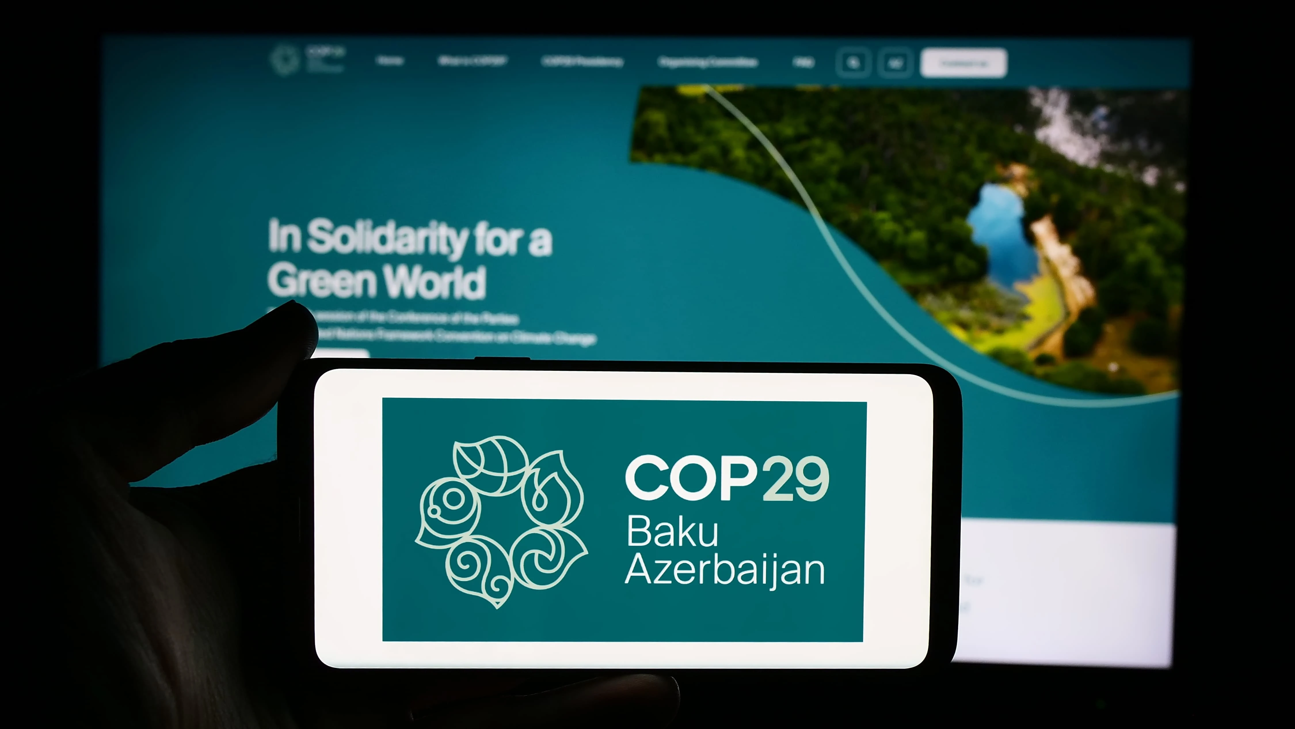 COP29 and the Future of Green Software: Strategies for a Sustainable Digital Era