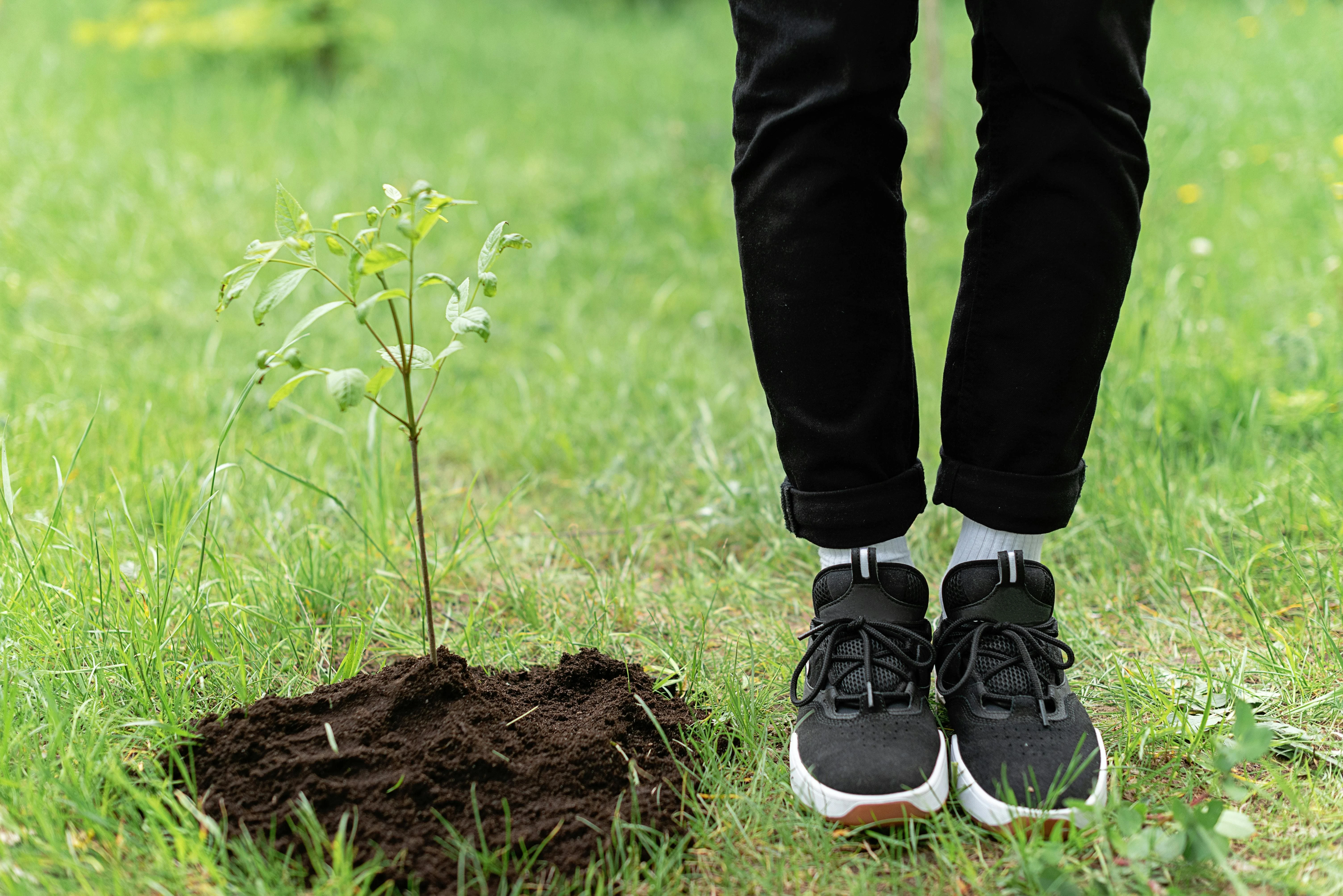 Sustainable Business Strategy and Practices