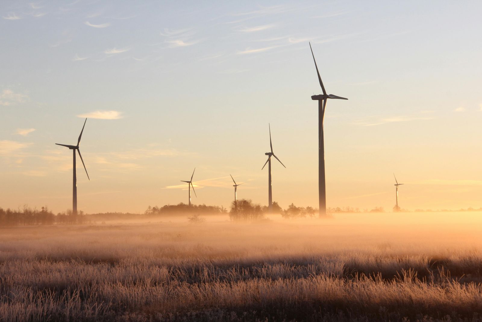 The Sustainability Expectation: Why Green Practices Are Now a Commercial Decision