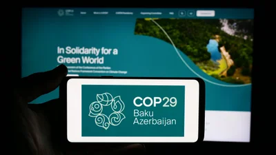 COP29 and the Future of Green Software: Strategies for a Sustainable Digital Era