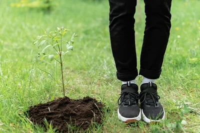 Sustainable Business Strategy and Practices
