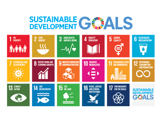 17 Sustainable development goals